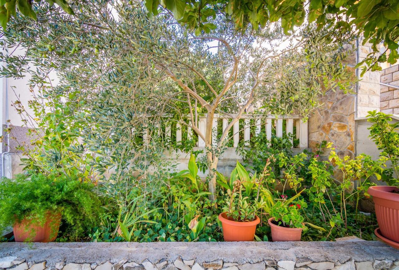 Cheap Apartment Tanja Trogir Dış mekan fotoğraf